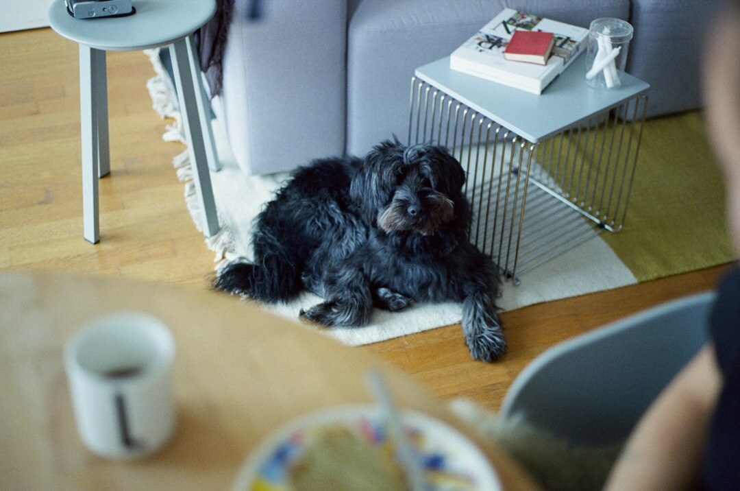 german family at home